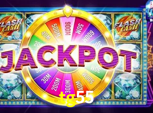 Interface Premium tg55